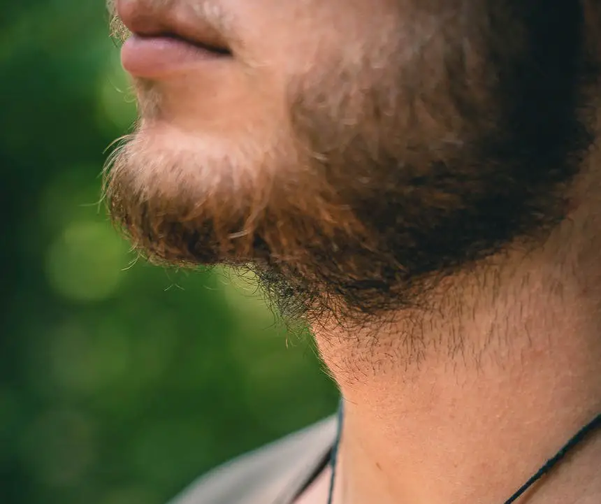 Why Men Have Red Beards  Genetics Explain Beard Color