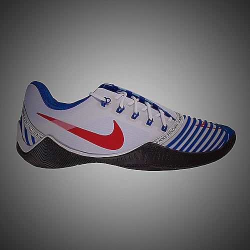 Nike Ballestra 2 Fencing Shoes - men's fencing shoes